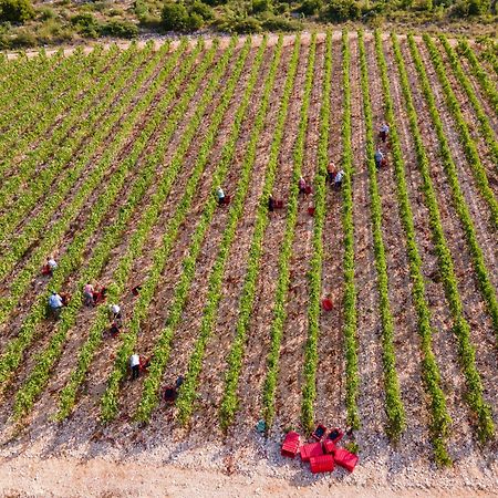 Winery Rizman B&B Slivno Ravno ภายนอก รูปภาพ