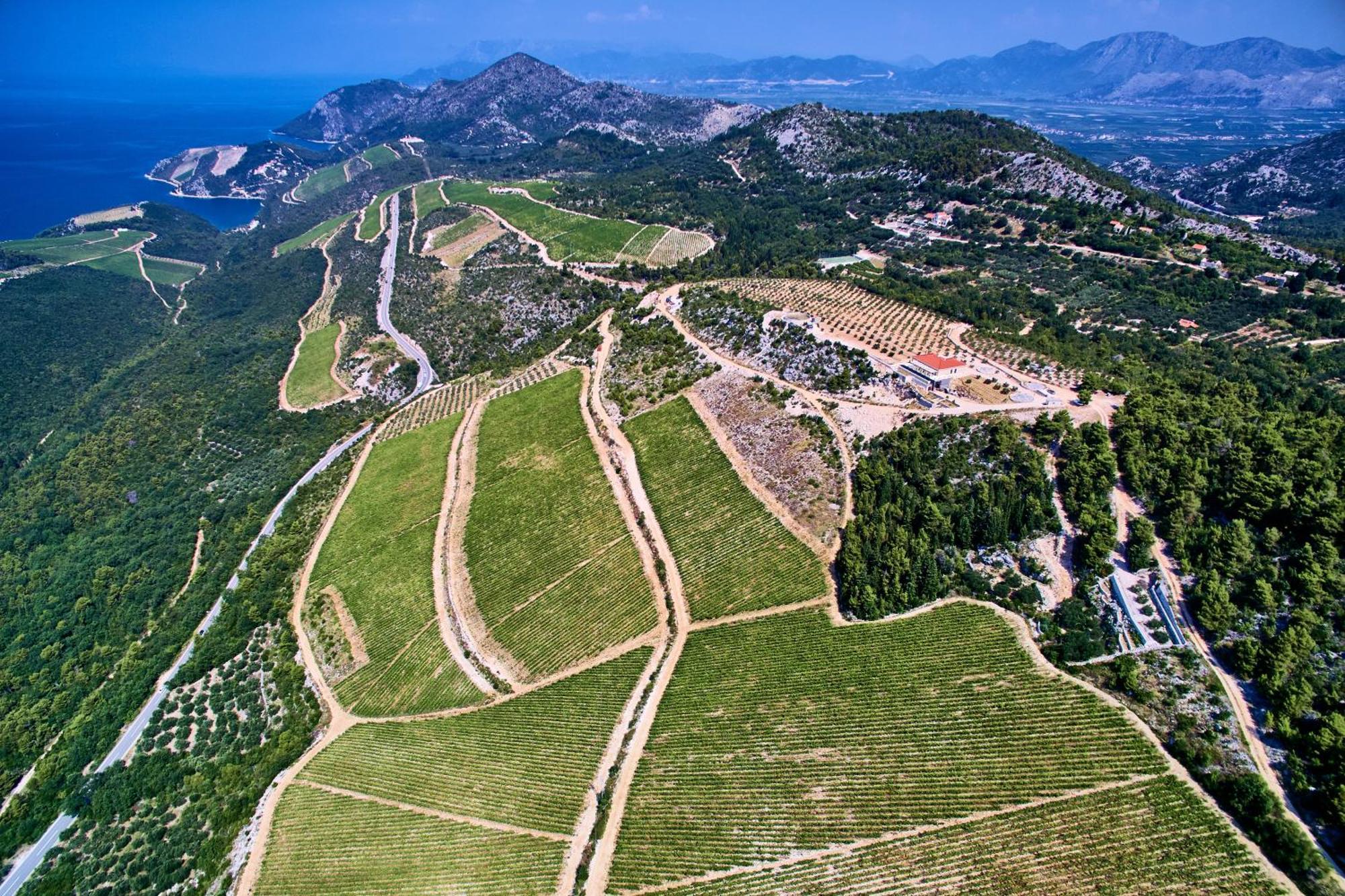 Winery Rizman B&B Slivno Ravno ภายนอก รูปภาพ